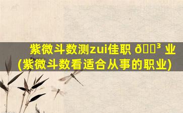 紫微斗数测zui
佳职 🐳 业(紫微斗数看适合从事的职业)